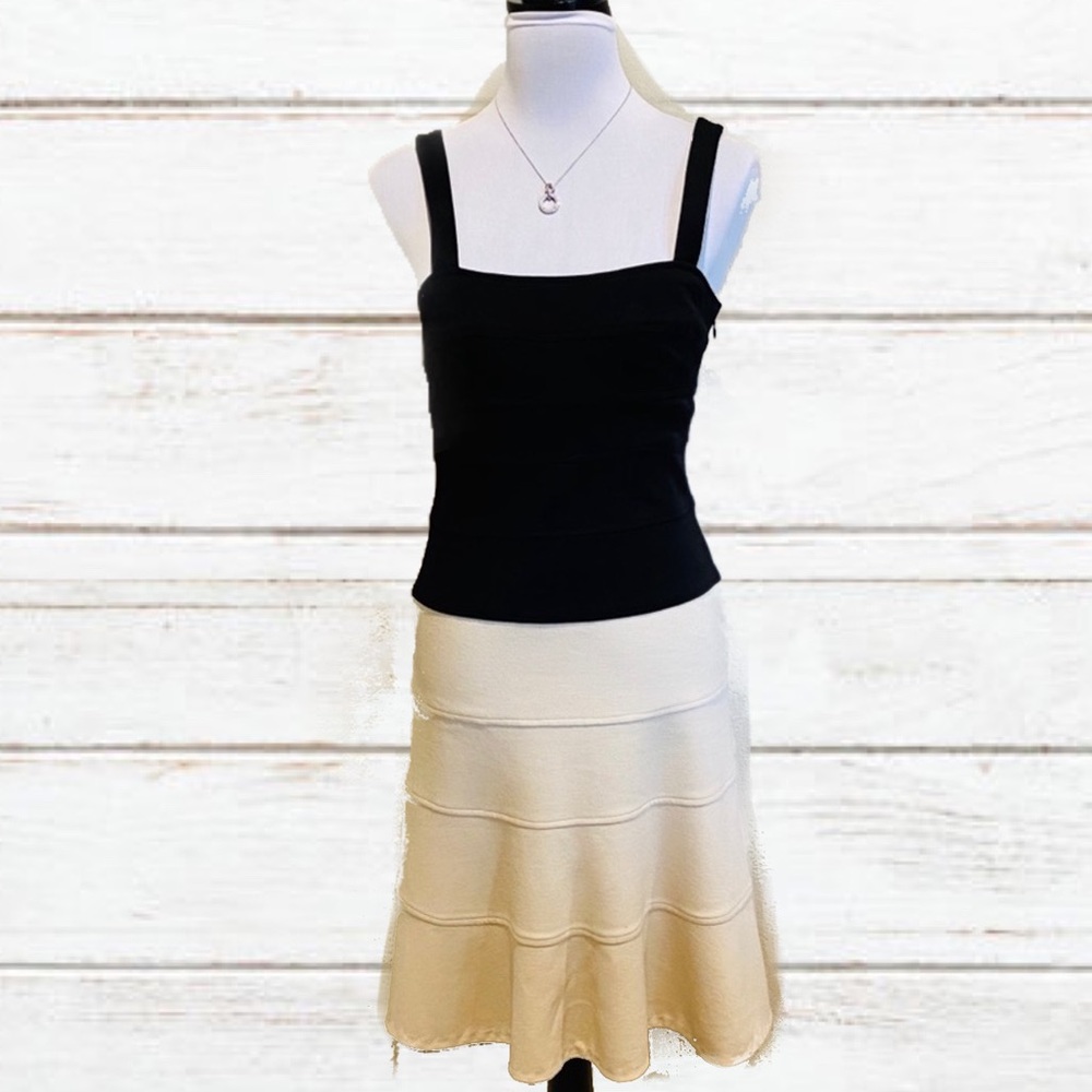 BCBG color block dress